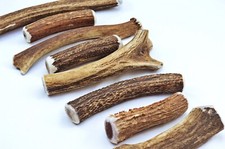 Scottish Stag Horn Antler Dog Chew Naturally Shed Sustainable Dog Antler-MEDIUM