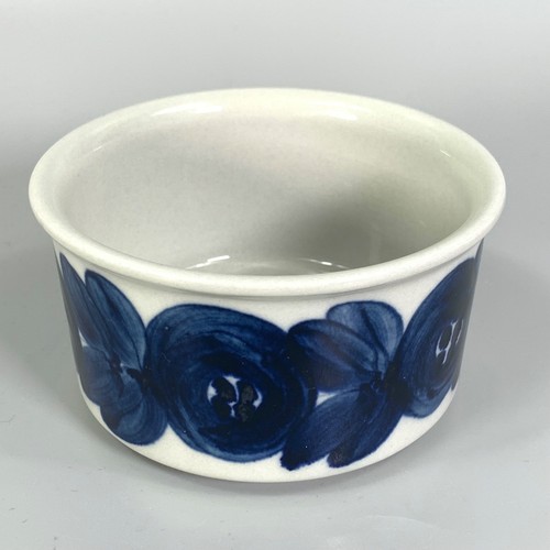 Arabia anemone blue sugar - anemone,