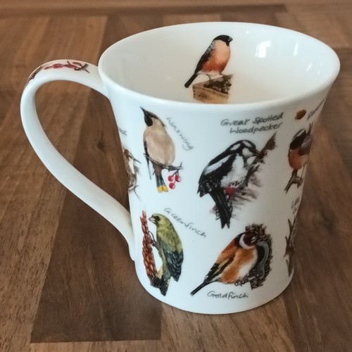 Dunoon bird life - dunoon,