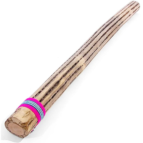 Cactus rainstick 50cm - rainstick, –