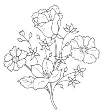 Embroidery Transfer Iron On -