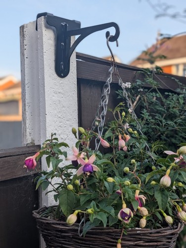 Small easy fit hanging basket - easy,