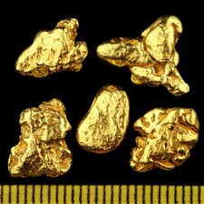 Alaska Gold Nuggets + Certificate! 1-50 Grams 5-12mm Gift Bars Coin