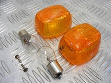 Kawasaki ER 6 N Indicator