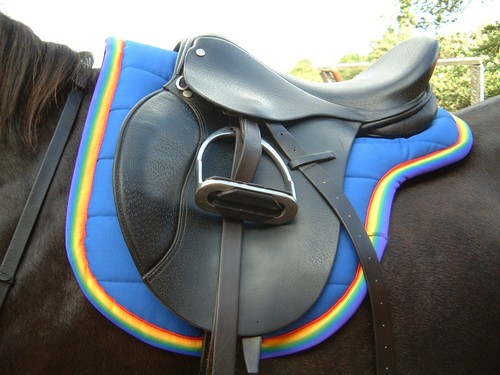 Polypads pony forma single - polypads,