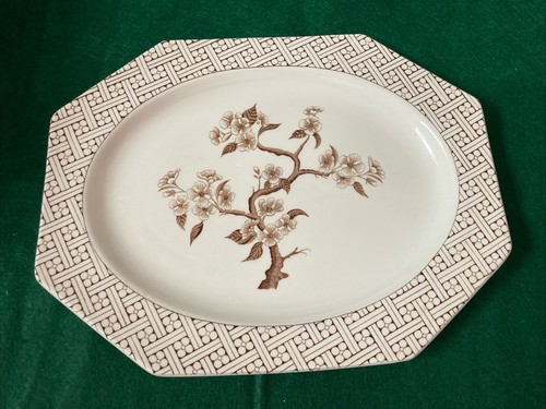 Royal staffordshire innocence - staffordshire,