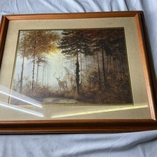 Gerald Coulson Quiet Forest