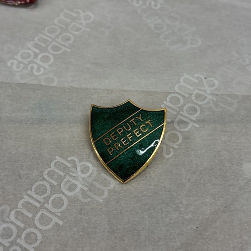 Deputy prefect school - deputy,