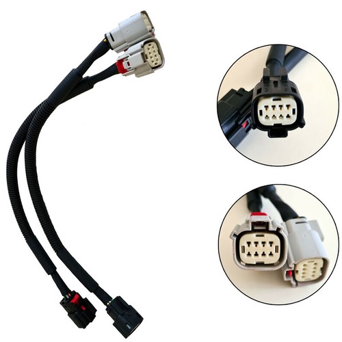 Rear tail light wiring - rear, loom