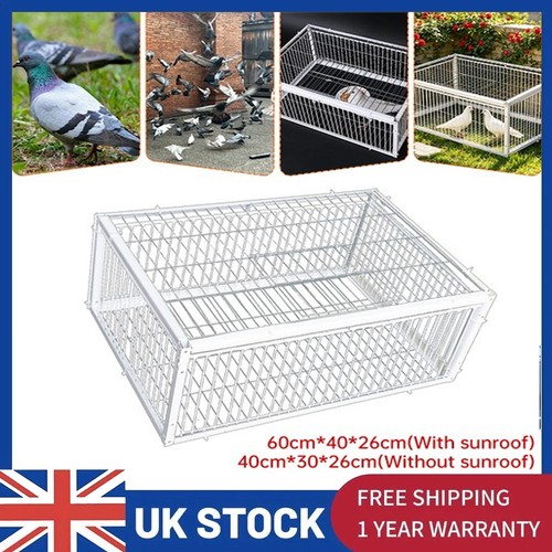 Pigeon trap cage - cage, single
