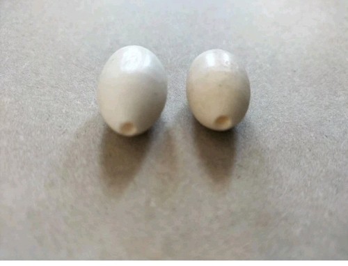 Replacement sitar bone - sitar, fine