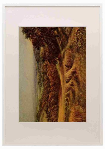 Sherrin daniel 1868 1940 - daniel,