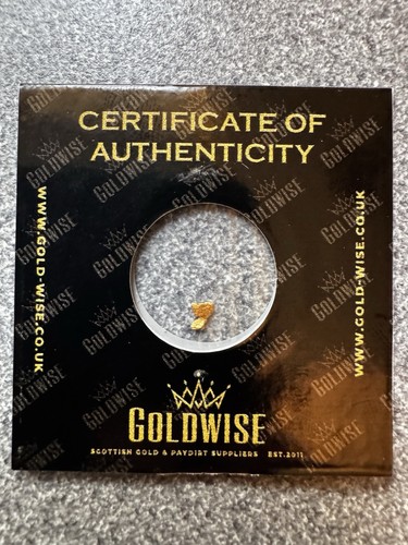 Small scottish gold nugget - small,
