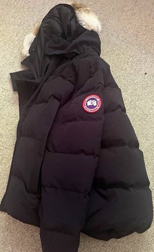 Canada goose men - goose, black