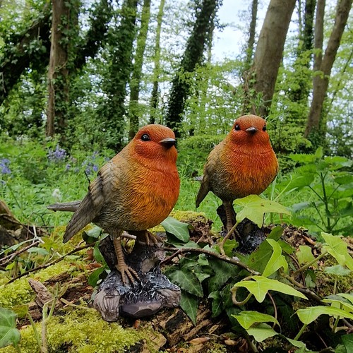 Robin tree stump - a, garden
