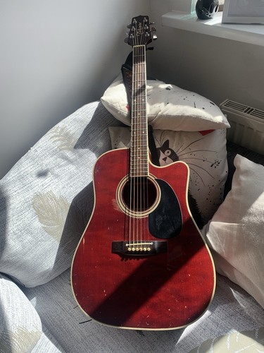 Takamine 325 src elelctro - ef-325,