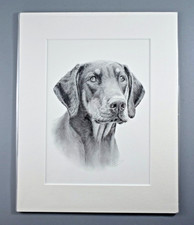 NOLON STACEY HIGH QUALITY