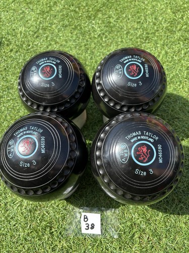 Size taylor vector lawn - /,