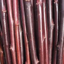 10 x willow cuttings. Salix Daphniodes (Continental Purple)  (approx 30cm) FRESH