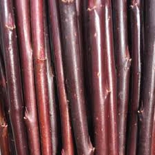 Willow cuttings salix - 10, cuttings.