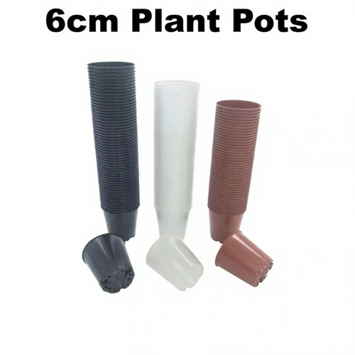 6cm plant pots - small, strong
