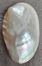 Large Natural Whole Macabebe