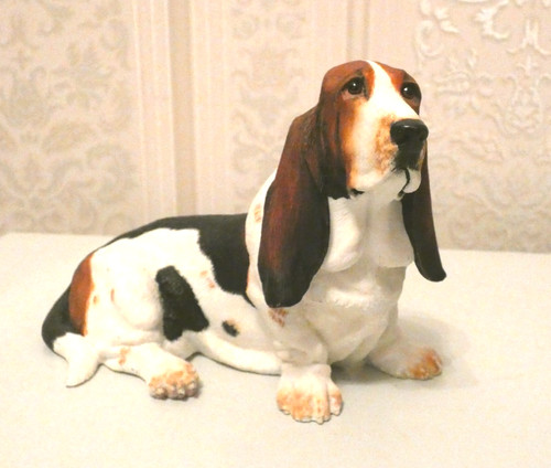 Bassett hound border fine - bassett,