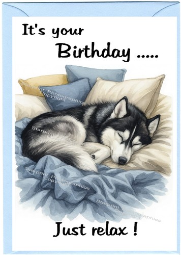 Siberian husky dog - husky, 6")
