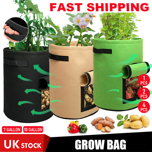 Potato grow bags tomato - potato,