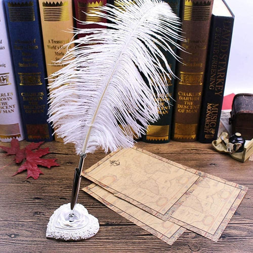 Ostrich feather quill - ostrich,