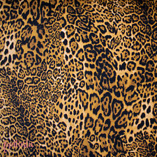 Animal Print Cotton Fabric -