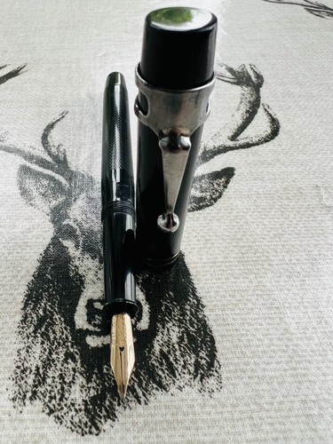 Onoto the pen fountain - fountain,