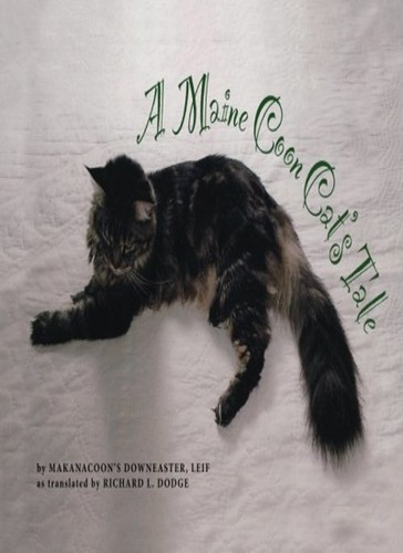 Maine coon cat tale by - a,