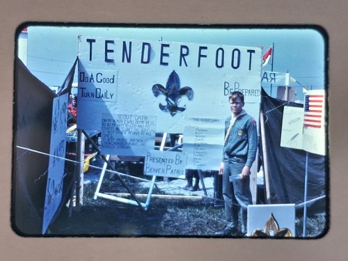 Boy scout tenderfoot - boy,