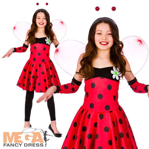 Lovely ladybug girls fancy - ladybug,