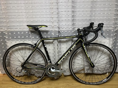 Focus culebro size small - culebro,