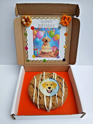 Labrador retriever dog - retriever,