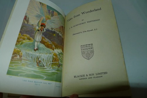Tales from wonderland - (fairy),