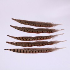 20 Pack 25-30cm Natural