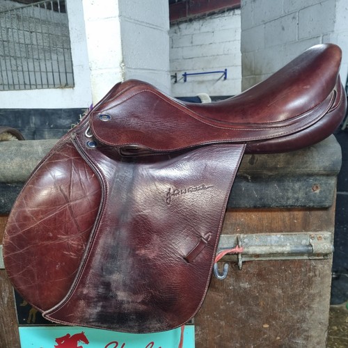 John whitaker jump - john, saddle