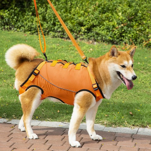 Dog mobility aids - dog,