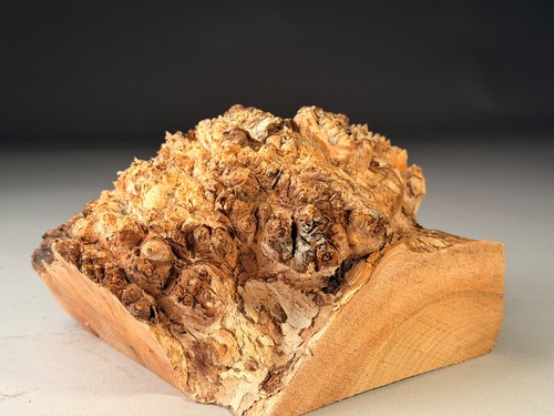 Amazing live edge - amazing, burr