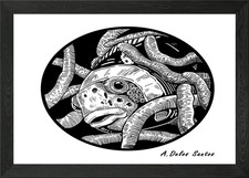 Clownfish Framed Wall Art