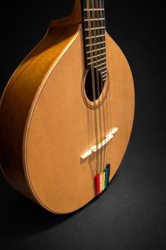 Brazilian style mandolin - mandolin, (10
