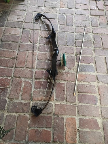 Bow and arrow hunting - bow,