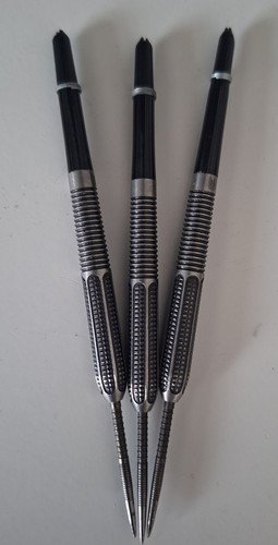 Raymond van barneveld target - raymond,