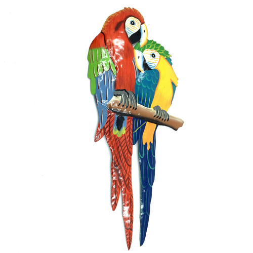 Macaw parrot pair tropical - macaw,