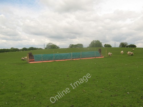Photo 6x4 cross country horse - photo,