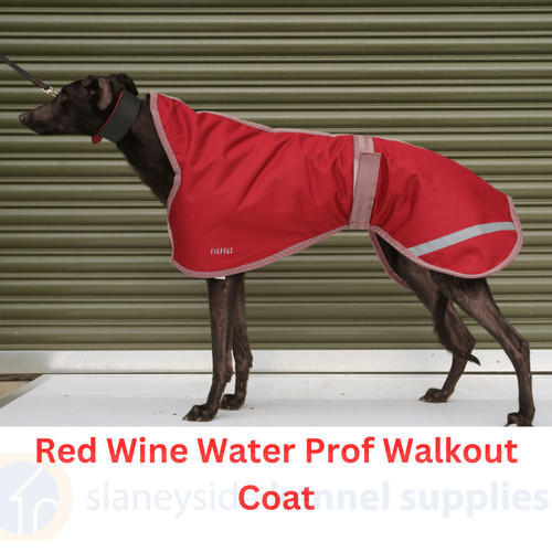 Greyhound dog coat waterproof - dog,