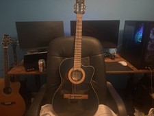 Ibanez Electro Acoustic